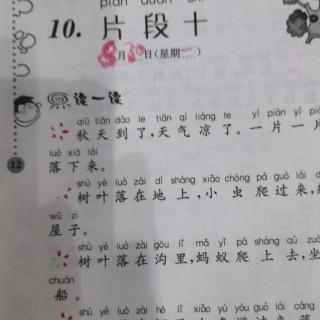 阅读阶梯训练