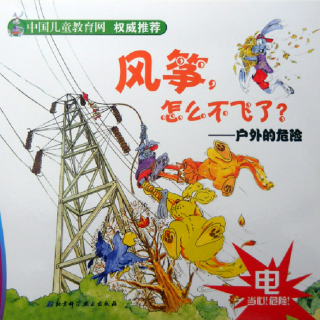 《儿童绘本故事——风筝怎么不见了：户外的危险》