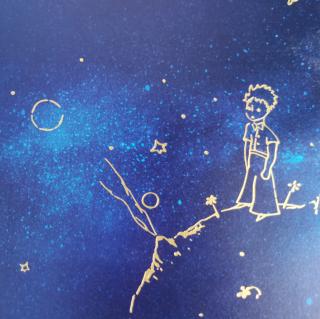 The little prince17