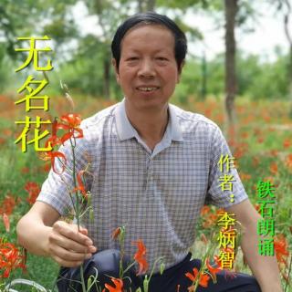 《无名花》作者：李炳智