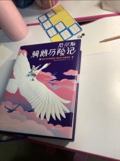 尼尔斯骑鹅历险记