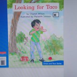 Looking For Taco