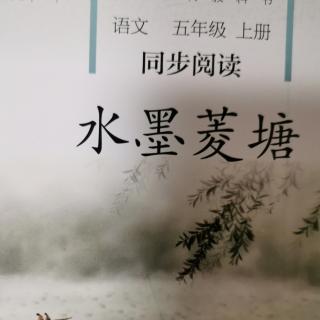 水墨菱塘1