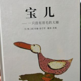 绘本故事分享269：《宝儿》一只没有羽毛的大雁