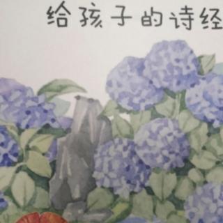 诗经.小雅.常棣（节选）