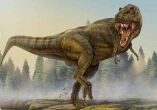 恐龙帝国-003 史前生命的演变