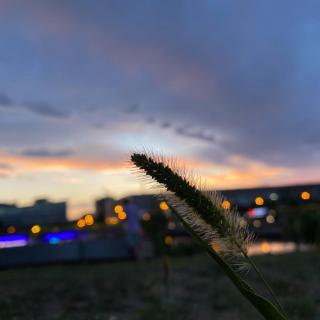 飞花令里读诗词‖夏‖首夏南池独酌