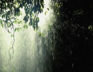 （六年级）好雨随风