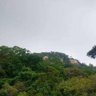 《帛書老子》四十六