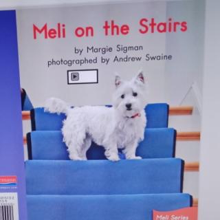 Meli on the stairs