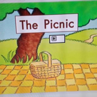 The picnic