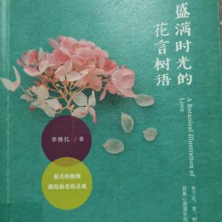 《盛满时光的花言树语》——兰花  仙客来