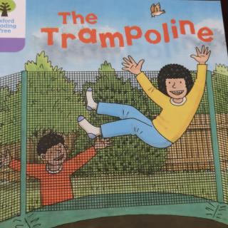 the Trampoline