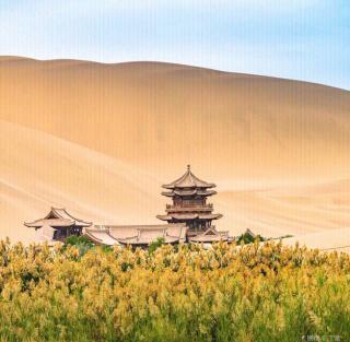 想家、故乡的鸟