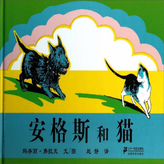 第243本绘本故事《安格斯和猫》