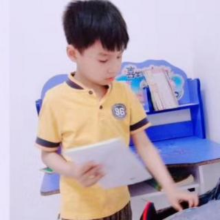 《大青树下的小学》