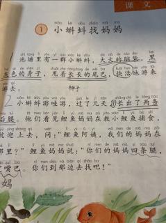 二年级课文《小蝌蚪找妈妈》