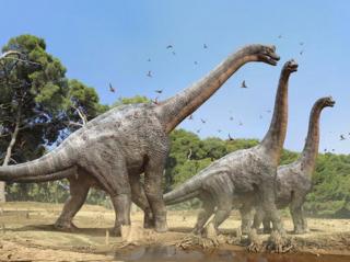 恐龙帝国-008 恐龙化石是怎样形成的？