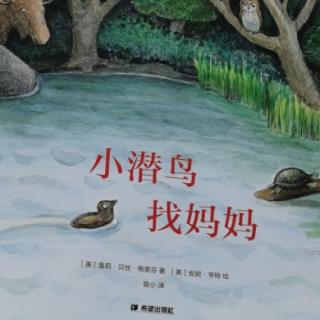 《小潜鸟找妈妈》—桃子姐姐