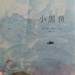 小黑鱼