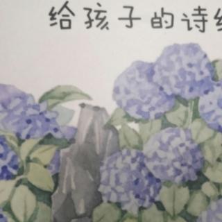 诗经.小雅.鸿雁