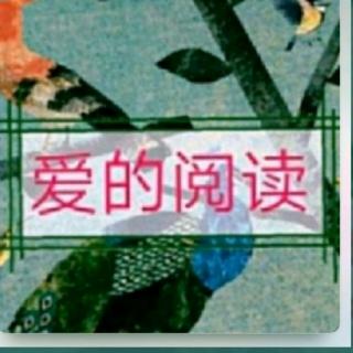 爱的阅读330天《不要过打折的生活》