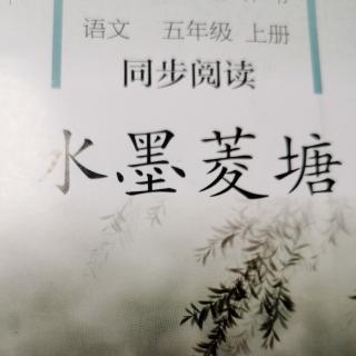 水墨菱塘一野草