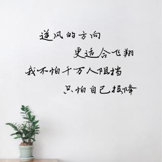 日签音乐#396 每想你一次，天上就掉下一滴水，于是形成了太平洋