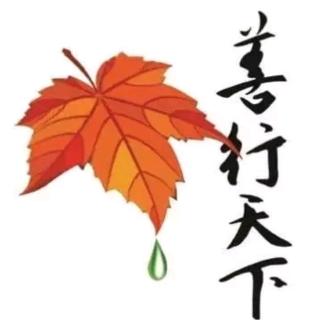 抽丝剥茧了解