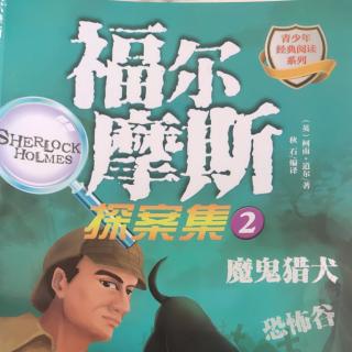 《福尔摩斯探案集》 🕵️（2）