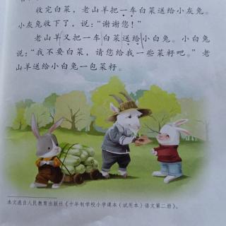 成子讲故事 都296期《小白兔和小灰兔》