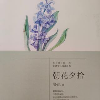 《朝花夕拾》