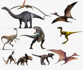 恐龙帝国-012 恐龙的分类
