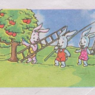 《小兔子和苹果树》