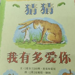 《猜猜我有多爱你》