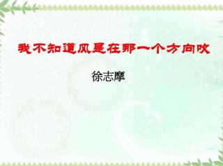 《我不知道风是在哪一个方向吹》复习6徐志摩