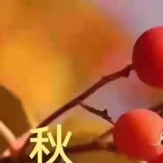 《一剪梅  中秋元月》作者:辛弃疾 朗读:青青紫藤