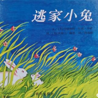 《逃家小兔🐇》