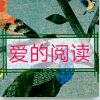 爱的阅读334天《只要心怀热爱，自有万般精彩》