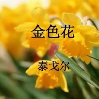 《金色花》作者：泰戈尔