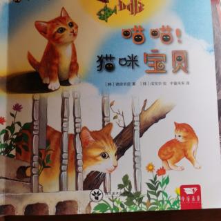 喵喵！猫咪宝贝