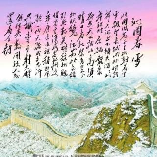 《沁园春.雪》复诵:心轻草香