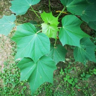 9月15日：每个当下的理解