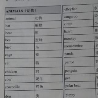 二级分类：动物