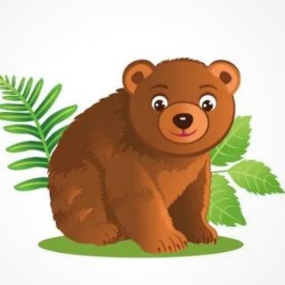 宋老师第219篇睡前故事🌻《棕熊先生的宝贝树》