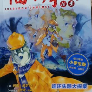 大侦探福尔摩斯16连环失踪大探案《6巧遇搭档警探》