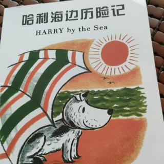 哈利海边历险记