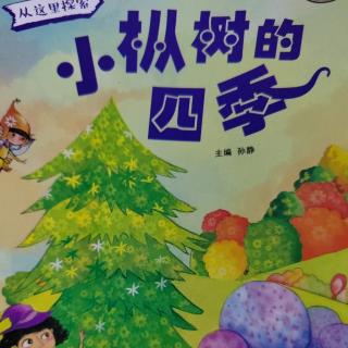 《红果果幼教集团》晚安故事《小枞树的四季》