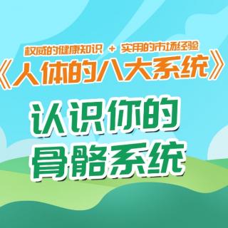 《人体的八大系统》认识你的骨骼系统