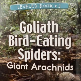 RAZ LevelJ 307 - Goliath Bird-Eating Spiders:Giant Arachnids